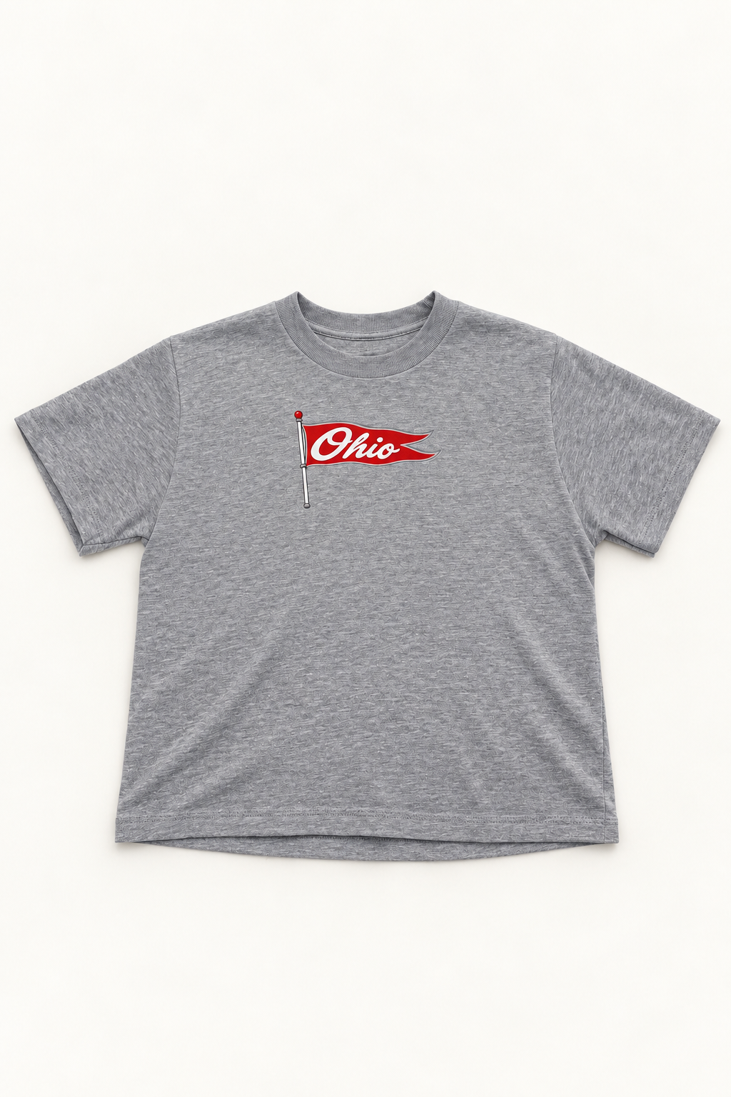 Ohio Rally Flag Boxy Tee - Gray