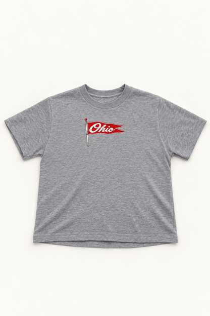 Ohio Rally Flag Boxy Tee - Gray